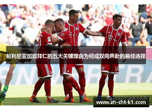 帕利尼亚加盟拜仁的五大关键理由为何成双向奔赴的最佳选择
