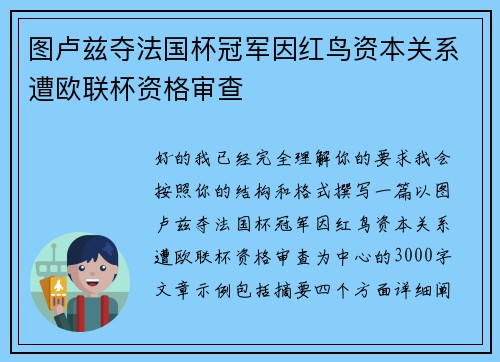 图卢兹夺法国杯冠军因红鸟资本关系遭欧联杯资格审查